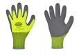 FLEXTER Handschuhe Latex Stronghand